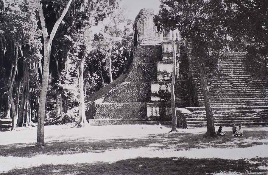 The Picnic ll, Yucatan