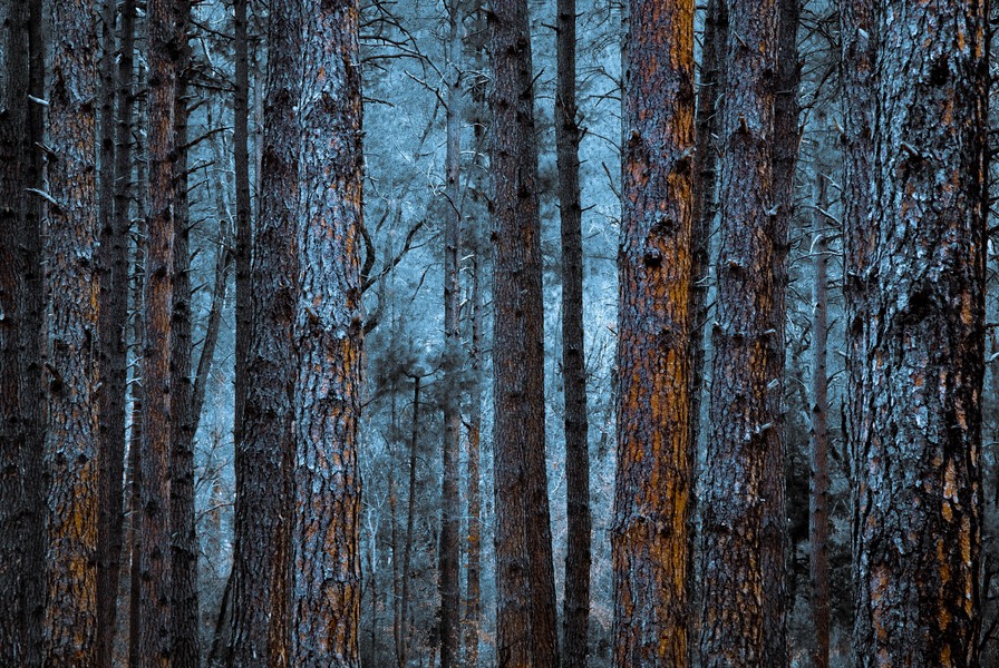 Deep Dusk at Brim's Mesa