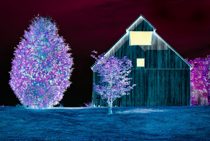 Barn & Trees
