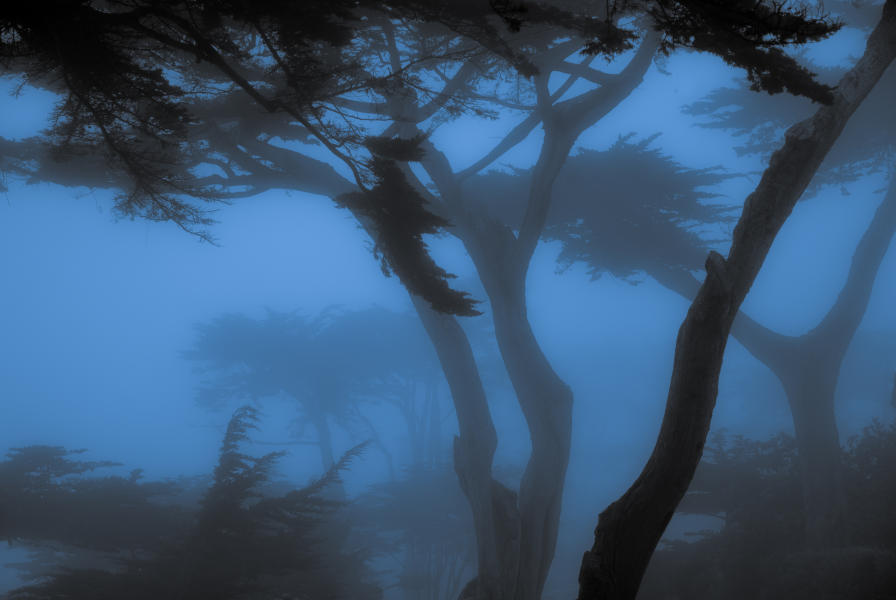 Carmel Fog Blues