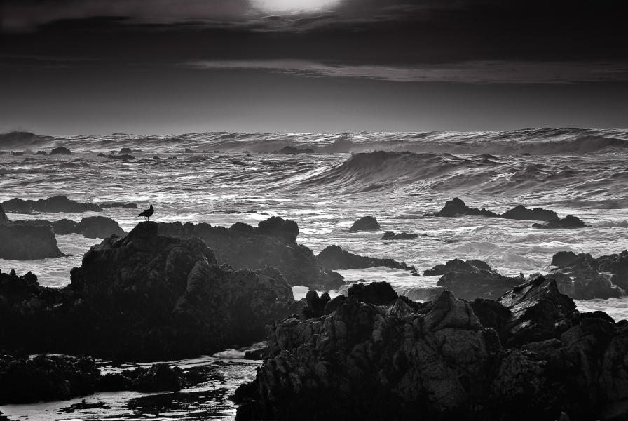 Watcher Of The Shining Sea (Black and White)