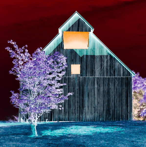 Red Sky, Gray Barn