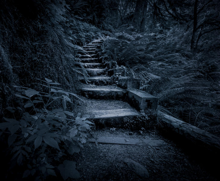 Moonlite Pathway...I'm Waiting!