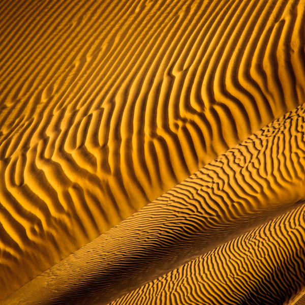 Zebra Dunes lll