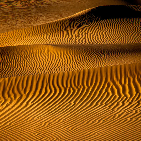 Zebra Dunes l