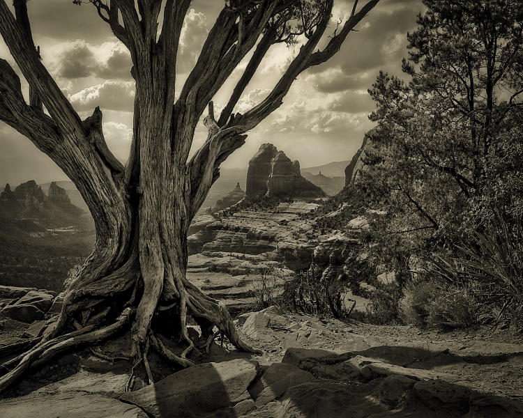 View From Schnebly Hill Road, Sepia