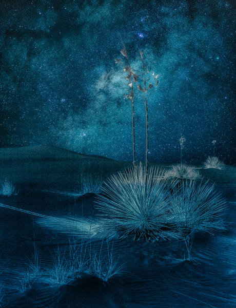 Desert Blues