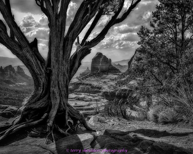View From Schnebly Hill Road, B&W