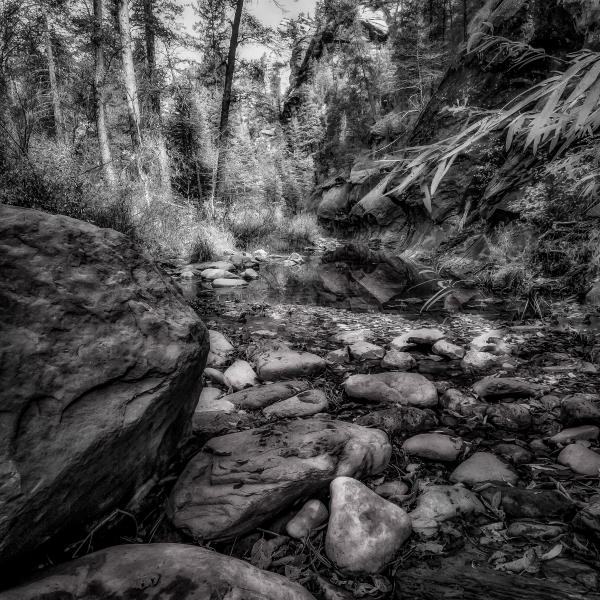 A West Fork Moment