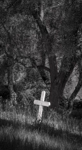 The Little White Cross