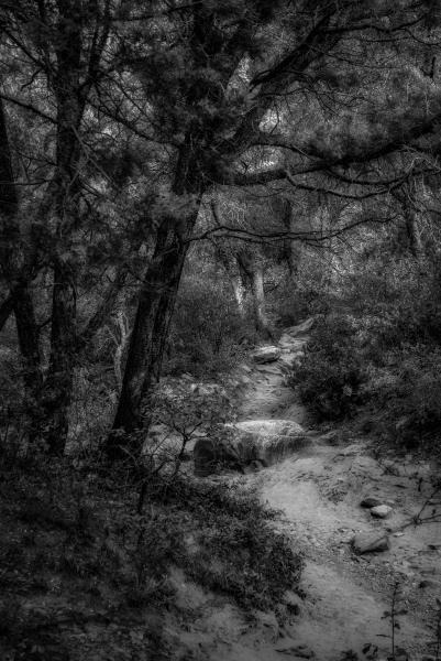 Fay Canyon Path